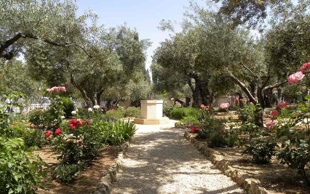 Israel Wine Tour and Culinary Tours