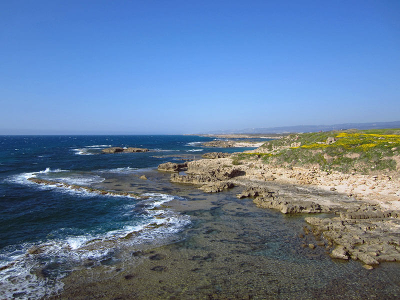 the rocky mediterranean coast at tel dor