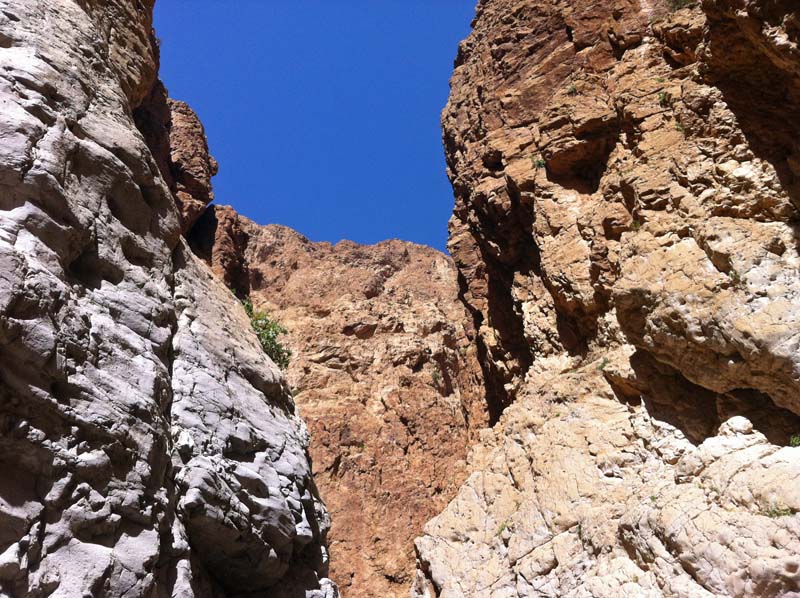 Wadi Dargot - inside the canyon
