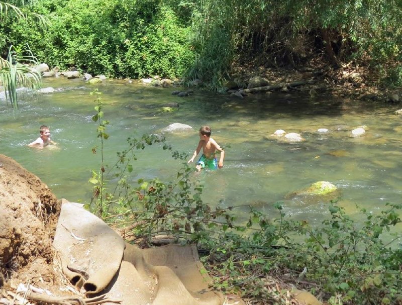 A cool dip in the Nahal Snir