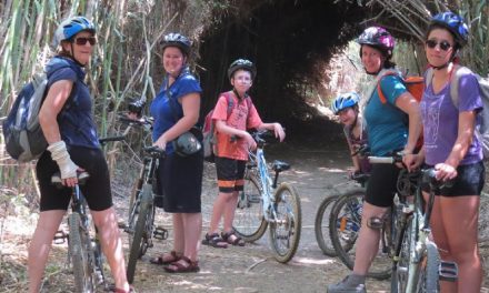 Biking in Israel  From the Deserts to the Mountains