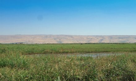 The Hula Valley