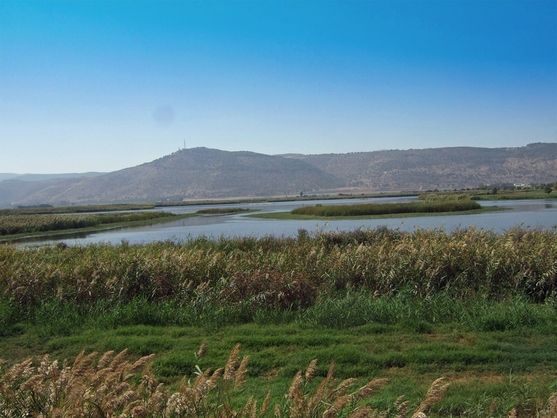 Hula Valley - at the Crossroads between Asia and Africa