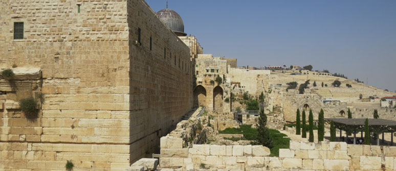 A Personal Guided Tour of the City of David