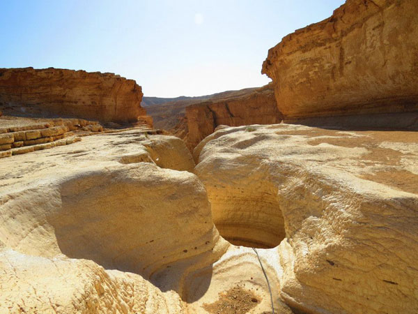 Our Amazing Negev Jeep Tour