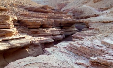 Hike the Red Canyon, Eilat Mountains