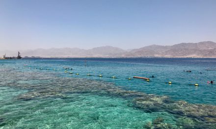 Tours From Eilat